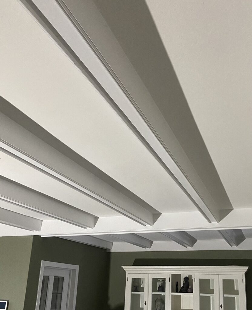 Plafond lamellen